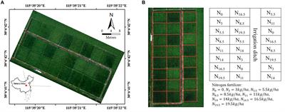 Remote Estimation of Rice Yield With Unmanned Aerial Vehicle (UAV) Data and Spectral Mixture Analysis